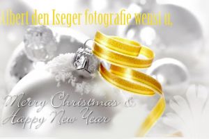 10-12-2016 SHOWBIZZ; MERRY CHRISTMAS AND A HAPPY NEWYEAR.
foto: Albert den Iseger