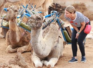 18-01-2018 SHOWBIZZ; LEONTIEN EN MICHAEL ZIJLAARD VAN MOORSEL HEERLIJK GENIETEN OP FUERTEVENTURA.Op uitnodiging van weekblad PRIVE genoten Leontien en Michael heerlijk op Fuerteventura van elkaar en van hun gezelschap.
foto: Albert den Iseger