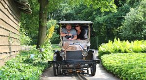 11-07-2016 SHOWBIZZ; FRANS EN MARLOES DUIJTS 12.5 JAAR GETROUWD. Het huwelijksfeest werd gevierd in de Efteling.Met familie en vrienden werd 3 dagen feest gevierd tussen allerlei attractie s en gezelligheid.
foto: Albert den Iseger