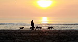 19-07-2018 NIEUWS; SFEERBEELDEN UIT ZOMERS EGMOND AAN ZEE.
foto: Albert den Iseger