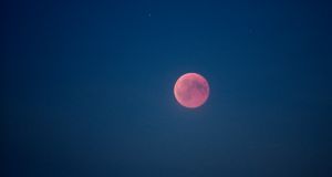 27-07-2018 NIEUWS; EGMOND AAN ZEE EN DE LANGSTE MAANSVERDUISTERING VAN DE EEUW.De maan kleurt bloedrood door een totale maansverduistering. De rode kleur wordt veroorzaakt door zonlicht wat langs de aarde schijnt.
foto: Albert den Iseger