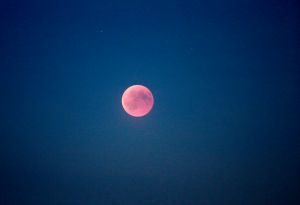 27-07-2018 NIEUWS; EGMOND AAN ZEE EN DE LANGSTE MAANSVERDUISTERING VAN DE EEUW.De maan kleurt bloedrood door een totale maansverduistering. De rode kleur wordt veroorzaakt door zonlicht wat langs de aarde schijnt.
foto: Albert den Iseger