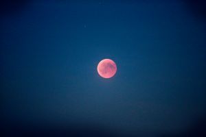 27-07-2018 NIEUWS; EGMOND AAN ZEE EN DE LANGSTE MAANSVERDUISTERING VAN DE EEUW.De maan kleurt bloedrood door een totale maansverduistering. De rode kleur wordt veroorzaakt door zonlicht wat langs de aarde schijnt.
foto: Albert den Iseger