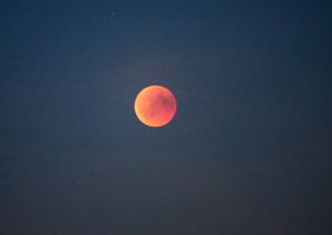 27-07-2018 NIEUWS; EGMOND AAN ZEE EN DE LANGSTE MAANSVERDUISTERING VAN DE EEUW.De maan kleurt bloedrood door een totale maansverduistering. De rode kleur wordt veroorzaakt door zonlicht wat langs de aarde schijnt.
foto: Albert den Iseger