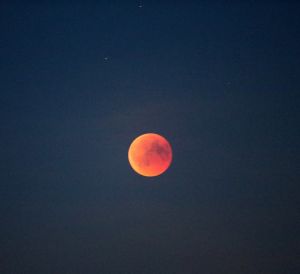 27-07-2018 NIEUWS; EGMOND AAN ZEE EN DE LANGSTE MAANSVERDUISTERING VAN DE EEUW.De maan kleurt bloedrood door een totale maansverduistering. De rode kleur wordt veroorzaakt door zonlicht wat langs de aarde schijnt.
foto: Albert den Iseger