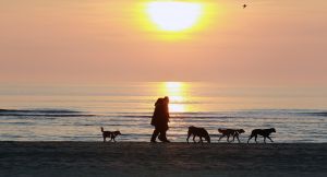 19-07-2018 NIEUWS; SFEERBEELDEN UIT ZOMERS EGMOND AAN ZEE.
foto: Albert den Iseger