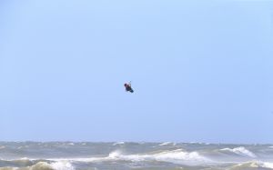 28-07-2018 SPORT; KITE SURFING-EGMOND AAN ZEE. Het was STORMY WEATHER in Egmond aan zee, tijd voor Kite Surfing en genieten van deze kleurige en snelle sport.
foto: Albert den Iseger