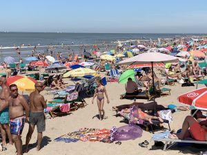 31-07-2020 NIEUWS; EGMOND AAN ZEE WAS VANDAAG MEGA DRUK ONDANKS DE CORONA. Zo druk heb ik het nog nooit in Egmond aan zee gezien, geen 1.5 meter afstand geen mondkapjes en geen voorzichtigheid. Het was druk van daag. megadruk en de gasten bleven maar komen. Het werd hoog water, het was voor iedereen opschuiven en meten en passen. Men zat letterlijk niet naast elkaar maar op elkaar.Waar was de controle, handhaving of strandpolitie, niks en nergens te bekennen.
foto: Albert den Iseger