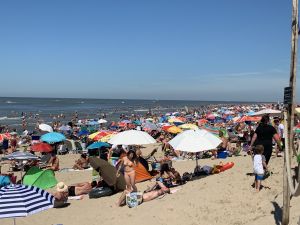 31-07-2020 NIEUWS; EGMOND AAN ZEE WAS VANDAAG MEGA DRUK ONDANKS DE CORONA. Zo druk heb ik het nog nooit in Egmond aan zee gezien, geen 1.5 meter afstand geen mondkapjes en geen voorzichtigheid. Het was druk van daag. megadruk en de gasten bleven maar komen. Het werd hoog water, het was voor iedereen opschuiven en meten en passen. Men zat letterlijk niet naast elkaar maar op elkaar.Waar was de controle, handhaving of strandpolitie, niks en nergens te bekennen.
foto: Albert den Iseger