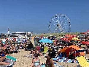 31-07-2020 NIEUWS; EGMOND AAN ZEE WAS VANDAAG MEGA DRUK ONDANKS DE CORONA. Zo druk heb ik het nog nooit in Egmond aan zee gezien, geen 1.5 meter afstand geen mondkapjes en geen voorzichtigheid. Het was druk van daag. megadruk en de gasten bleven maar komen. Het werd hoog water, het was voor iedereen opschuiven en meten en passen. Men zat letterlijk niet naast elkaar maar op elkaar.Waar was de controle, handhaving of strandpolitie, niks en nergens te bekennen.
foto: Albert den Iseger