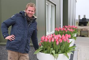 19-03-2015 SHOWBIZZ; BOER TOM GROOT DE - TULPENHUNK - IS KLAAR VOOR HET VOORJAAR EN HET OOGSTEN VAN ZIJN TULPEN BOLLEN. De 32 jarige TOM de polderhunk uit Nieuwe Niedorp is er al erg druk mee. De voorbereidingen om de bollen binnen te halen en te verwerken zijn in volle gang, De tulpen steken door het mooie weer al 10 cm boven de grond en over een paar weken zal al zijn land prachtig in kleur staan.
Ben net terug van een paar dagen wintersport en ga nu door met de voorbereidingen op wat komen gaat, aldus TOM.
foto: Albert den Iseger