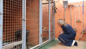 19-03-2018 SHOWBIZZ; LEONTIEN VAN MOORSEL EN MICHAEL ZIJLAARD ZIJN OPRECHTE DIEREN VRIENDEN.
foto: Albert den Iseger