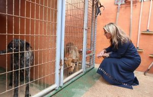 19-03-2018 SHOWBIZZ; LEONTIEN VAN MOORSEL EN MICHAEL ZIJLAARD ZIJN OPRECHTE DIEREN VRIENDEN.
foto: Albert den Iseger