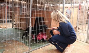 19-03-2018 SHOWBIZZ; LEONTIEN VAN MOORSEL EN MICHAEL ZIJLAARD ZIJN OPRECHTE DIEREN VRIENDEN.
foto: Albert den Iseger