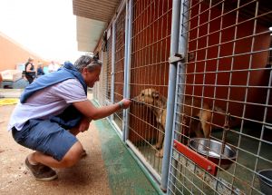 19-03-2018 SHOWBIZZ; LEONTIEN VAN MOORSEL EN MICHAEL ZIJLAARD ZIJN OPRECHTE DIEREN VRIENDEN.
foto: Albert den Iseger