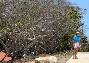 01-09-2016 SPORT; ARUBA PRO-AM GOLF TOURNAMENT 2016. In samenwerking met TIERRA DEL SOL te Aruba organiseerde ARUBA TOURIST AUTHORITY het Aruba Pro Am Golf Toernooi. Enkele BN ers deden hier ook aan mee. Nederland viel echter niet in de prijzen.Ook werd de HANDICART gepresenteerd door Mark en Frans Tempelman.
Hierover later een aparte fotoreportage. 
foto: Albert den Iseger