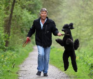 24-09-2018 SHOWBIZZ; MARTIN GAUS KRIJGT DONORNIER. De dierenvriend kreeg vandaag te horen dat hij een donornier krijgt.Volgende maand wordt hij geopereerd.
foto; Albert den Iseger